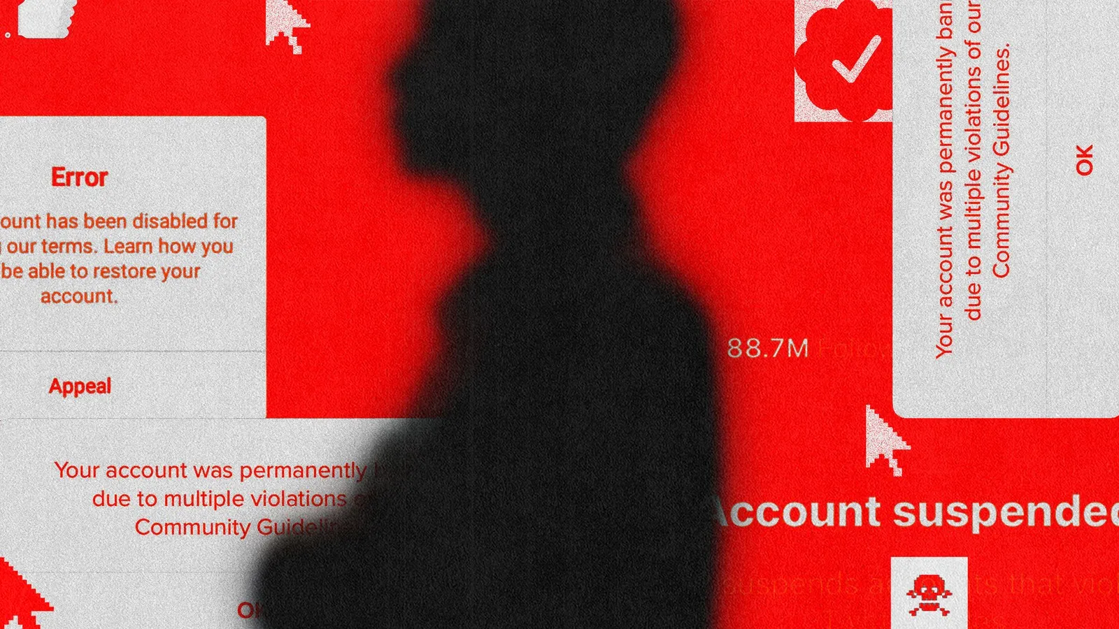 Why was the account shadowbanned?