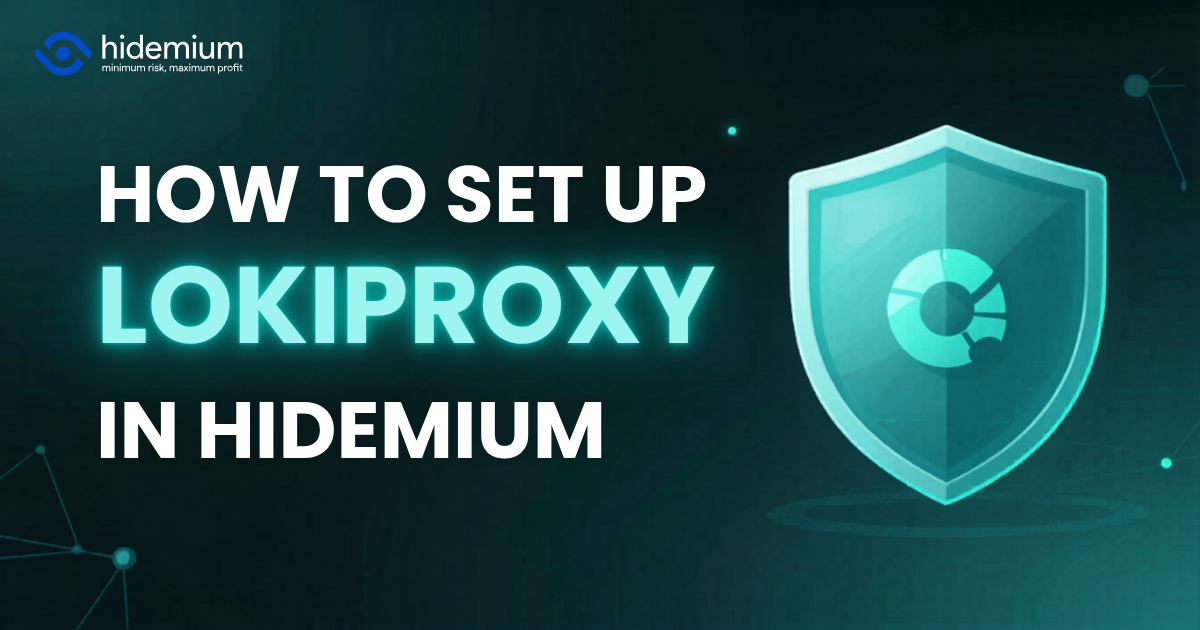 How to Set Up LokiProxy in Hidemium?